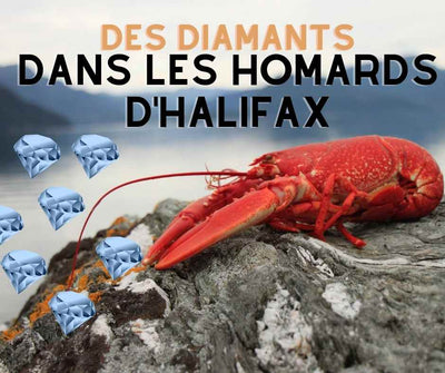 Des diamants dans les homards d’Halifax